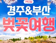 [KTX/봄꽃] 부산 (용궁사/해운대/자갈치시장) & 경주 벚꽃 (황리단길/동궁과월지/보문단지) 1박2일 기차여행