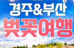 [KTX/봄꽃] 부산 (용궁사/해운대/자갈치시장) & 경주 벚꽃 (황리단길/동궁과월지/보문단지) 1박2일 기차여행