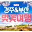 [KTX/봄꽃] 부산 (용궁사/해운대/자갈치시장) & 경주 벚꽃 (황리단길/동궁과월지/보문단지) 1박2일 기차여행