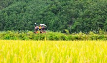 ▶정선1박2일◀[KTX]동해바다*정선 가리왕산케이블카&레일바이크*옥산장 1박2일 ★2012~2022 우수여행상품선정★