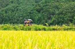 ▶정선1박2일◀[KTX]동해바다*정선 가리왕산케이블카&레일바이크*옥산장 1박2일 ★2012~2022 우수여행상품선정★