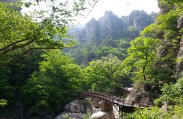 설악산 주전골 트래킹&속초 엑스포타워&외옹치둘레길 @중식제공