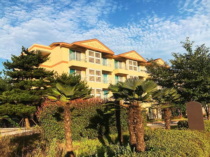 KTX◆남도탐방 1박2일◆ 순천/여수-해상케이블카/장흥-우드랜드편백숲/강진-다산박물관-가우도/순천부영호텔숙박