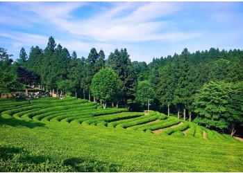 KTX 남도파노라마 1박2일(담양대통밥/목포한정식/법성포굴비정식)