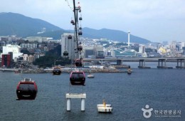 [KTX-당일]부산이 좋은데이② 장림포구+태종대+송도해수욕장