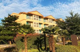 SRT◆남도탐방 1박2일◆ 순천-순천만습지/여수-해상케이블카/장흥-우드랜드편백숲/강진-다산박물관-가우도/순천부영호텔숙박