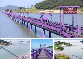 SRT수서역/동탄/평택지제]◆진도(명량해상케이블카)&신안(퍼플교/비금&도초도) 1박2일◆목포 신안비치호텔