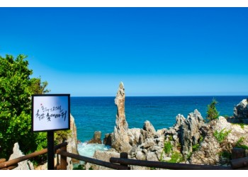 [KTX-당일]강원도② 동해 추암촛대바위+환선굴+강릉 안목커피거리