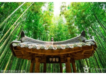 [KTX용산역/광명역/오송역-당일]대나무 명소 담양(죽녹원/가로수길/소쇄원) 즐기기!