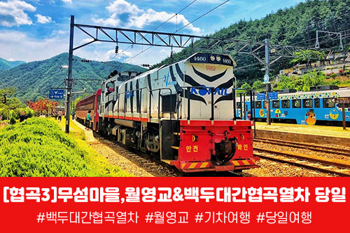 [경상권/충청권/수도권출발] 협곡3)무섬마을,월영교&백두대간협곡열차 당일