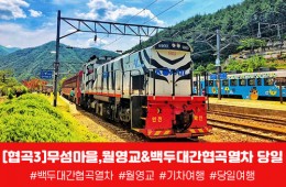 [경상권/충청권/수도권출발] 협곡3)무섬마을,월영교&백두대간협곡열차 당일