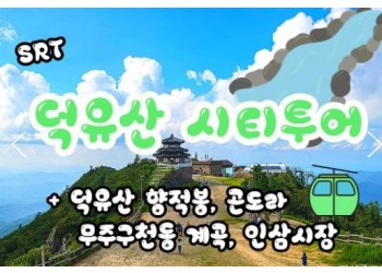 SRT - 덕유산 향적봉(정상) & 관광곤도라 & 무주구천동계곡 여행(당일)