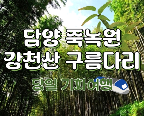(수원출발)새마을호 - 담양 시티투어 여행(당일)-담양죽녹원/강천산구름다리/메타세콰이어