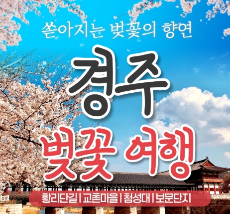 [KTX/봄꽃] 경주 보문단지 왕벚꽃 당일 기차여행 (황리단길 동궁과월지 대릉원 첨성대) 3/21~4/12