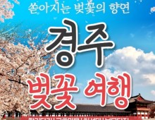 [KTX/봄꽃] 경주 보문단지 왕벚꽃 당일 기차여행 (황리단길 동궁과월지 대릉원 첨성대) 3/21~4/12