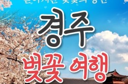 [KTX/봄꽃] 경주 보문단지 왕벚꽃 당일 기차여행 (황리단길 동궁과월지 대릉원 첨성대) 3/21~4/12