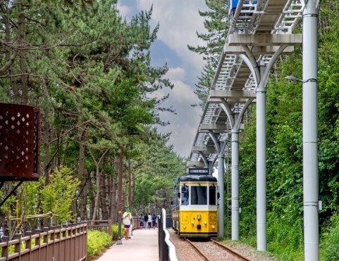 [KTX-1박]♠호텔♠부산(해운대/해변열차)vs울산(간절곶/대왕암)