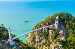 [KTX용산역/광명역-2박]다도해 명품섬! 비밀의 화원 하화도&금오도&오동도 동백섬 4도 탐방