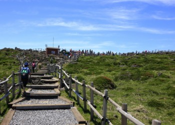 [6식제공]항공 - 제주도 가고싶다!! 한라산 등반 여행( 2박3일)