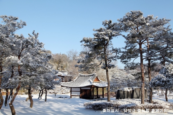 [SRT-당일] 보성+담양 남도대표 관광 일번지