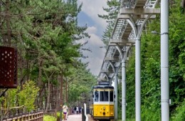 [SRT-1박]♠호텔♠부산(해운대/해변열차)vs울산(간절곶/대왕암)