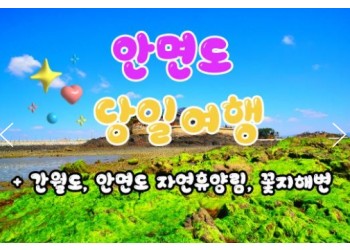 무궁화호 - 안면도 & 간월도 & 자연 휴양림 & 꽃지해변 여행(당일)