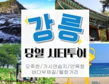 [KTX서울역/청량리역] 천년의 도시! 강릉명소(오죽헌/경포호수/안목항/바다부채길) 당일치기여행