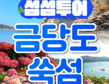 [KTX] 섬섬투어(금당도 해상투어+수국 쑥섬)&팔영산 치유의 숲 1박2일 기차여행-4식