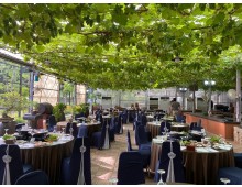 [팔도장터열차] 4월 11일(토) 영동 와이너리 투어 / 김천 직지사 벚꽃