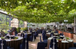 [팔도장터열차] 4월 11일(토) 영동 와이너리 투어 / 김천 직지사 벚꽃