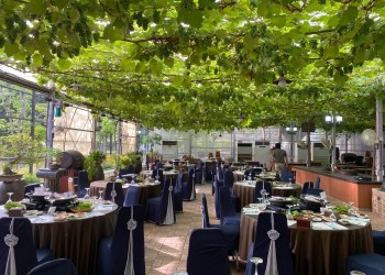 [팔도장터열차] 4월 11일(토) 영동 와이너리 투어 / 김천 직지사 벚꽃