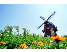 KTX- 전라남도 별미 구석구석 & 담양,보성,남해,여수.순천 여행(2박3일)