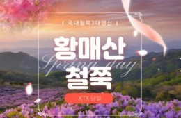 KTX - 국내 철쭉 3대 명산! 황매산 철쭉 & 함양상림숲 여행(당일)