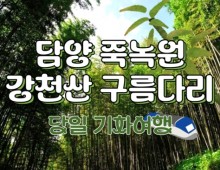 [KTX대전]담양죽녹원 & 메타세콰이어 & 강천산 구름다리 (당일)-8명부터