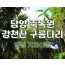 [KTX대전]담양죽녹원 & 메타세콰이어 & 강천산 구름다리 (당일)-8명부터