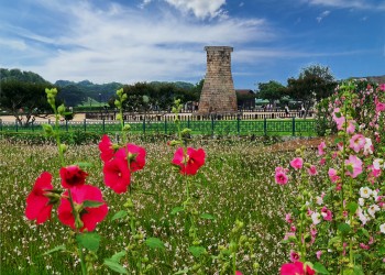 KTX [5월 연휴특선] 부울경 삼색기행 2박3일-경주/부산/울산 -울산 호텔 다움 2박