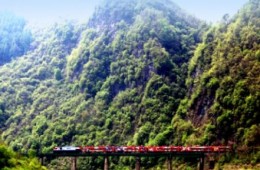 [A-train] 정선아리랑열차 + 시티투어버스1코스 + 레일바이크 패키지 [당일]