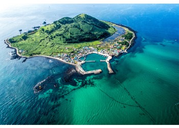 [7식제공]항공 - 제주도 가고싶다!! 원도심 투어 & 비양도 여행( 2박3일)