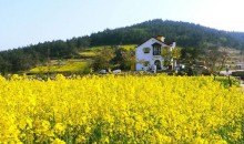 [KTX]청산도*완도*해남 대흥사 1박2일(청산도 내 숙박)