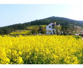 [KTX]청산도*완도*해남 대흥사 1박2일(청산도 내 숙박)