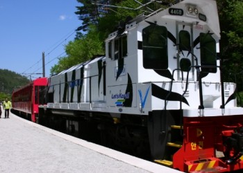 [KTX이음] 충절의 고장 영월 & 협곡열차 하루 기차여행 (부산출발)