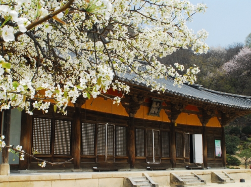 [KTX 이음] 영주 세계문화유산 & 한우 미식탐방 하루 기차여행(부산출발)