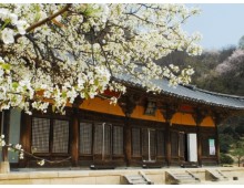 [KTX 이음] 영주 세계문화유산 & 한우 미식탐방 하루 기차여행(부산출발)