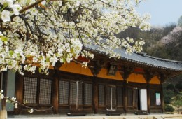 [KTX 이음] 영주 세계문화유산 & 한우 미식탐방 하루 기차여행(부산출발)