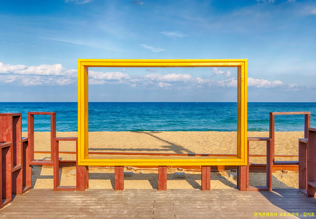 KTX - 강원도 구석구석 & 정동진 & 오죽헌 & 솔향수목원 여행(당일)