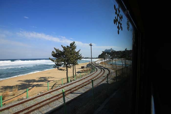 [KTX-당일]바다 곁을 달리는 해안선열차와 바다부채길+묵호+강릉중앙시장