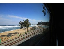 [KTX-당일]바다 곁을 달리는 해안선열차와 바다부채길+묵호+강릉중앙시장