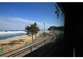 [KTX-당일]바다 곁을 달리는 해안선열차와 바다부채길+묵호+강릉중앙시장