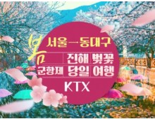 KTX - 환상의 진해벚꽃 & 군항제 여행 (당일) - 왕복 동대구역