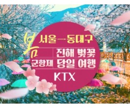 KTX - 환상의 진해벚꽃 & 군항제 여행 (당일) - 왕복 동대구역